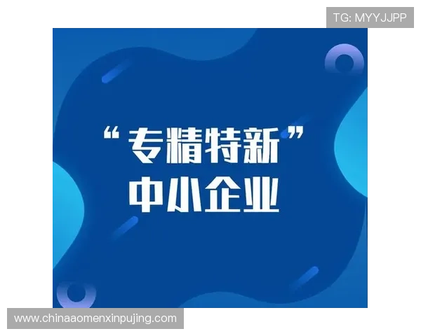新普京集团：以客户为中心的服务理念，提升企业竞争力实现共赢