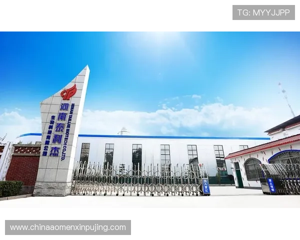 新葡萄娱乐城集团：持续创新推动企业可持续发展的战略布局