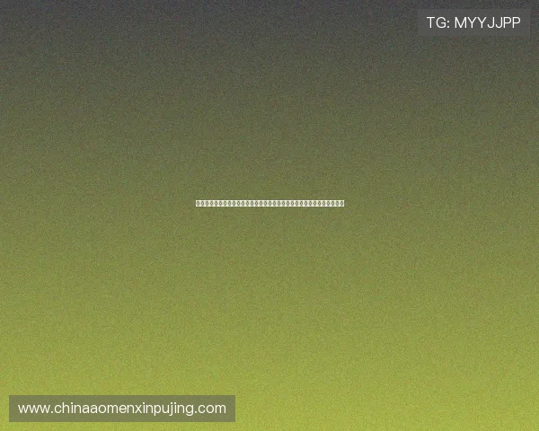 新葡萄娱乐城国际首页提供专业客服全天候在线支持确保玩家问题及时解决