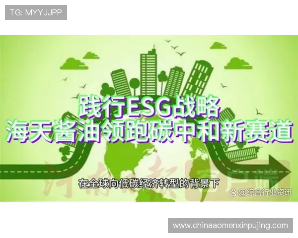 澳娱综合度假股份有限公司的社会责任与可持续发展战略，推动企业绿色转型与行业责任