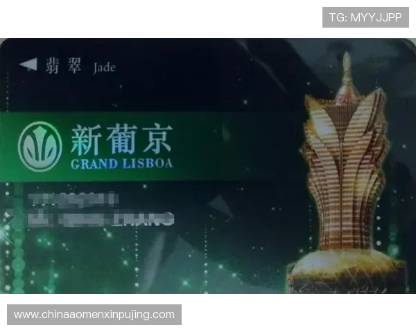 澳门新葡京app最新优惠政策，丰富的促销活动助力玩家赢取更多彩金