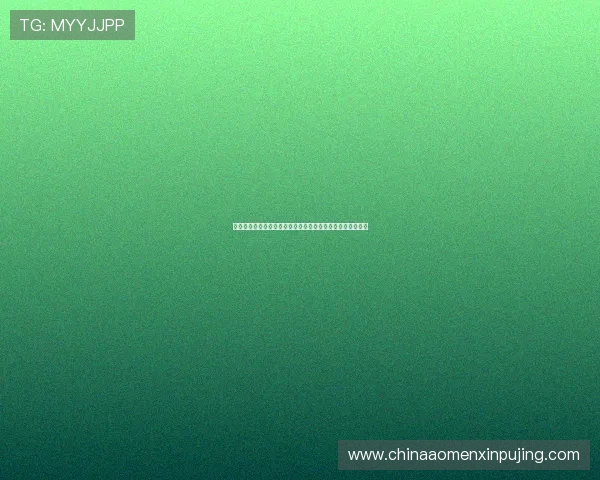 澳门新京开户提供专业的世界杯赛况分析与球队最新动态资讯